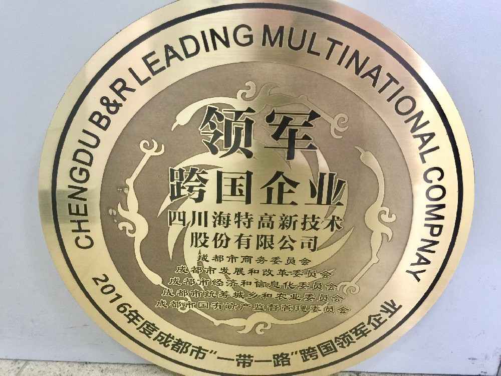 領軍跨國企業
